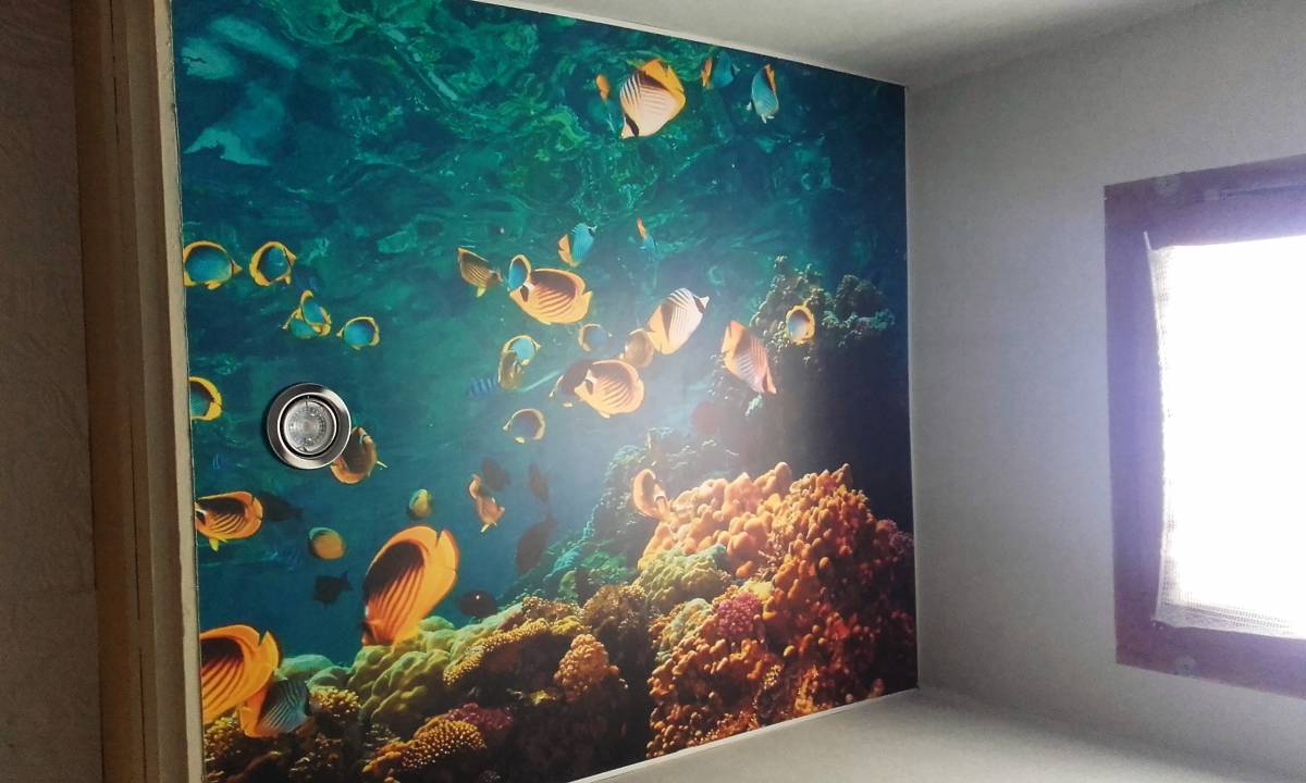 Comment personnaliser un mur tendu avec des impressions numériques haute définition ? Belfort